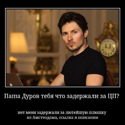 eee A Паша Дуров тебя что задержали за нет меня задержали за лютейшую плюшку из Амстеодама, ссылка в описании