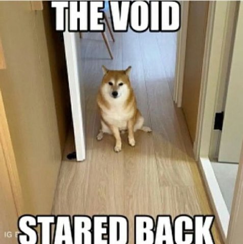 THE STARED PACK