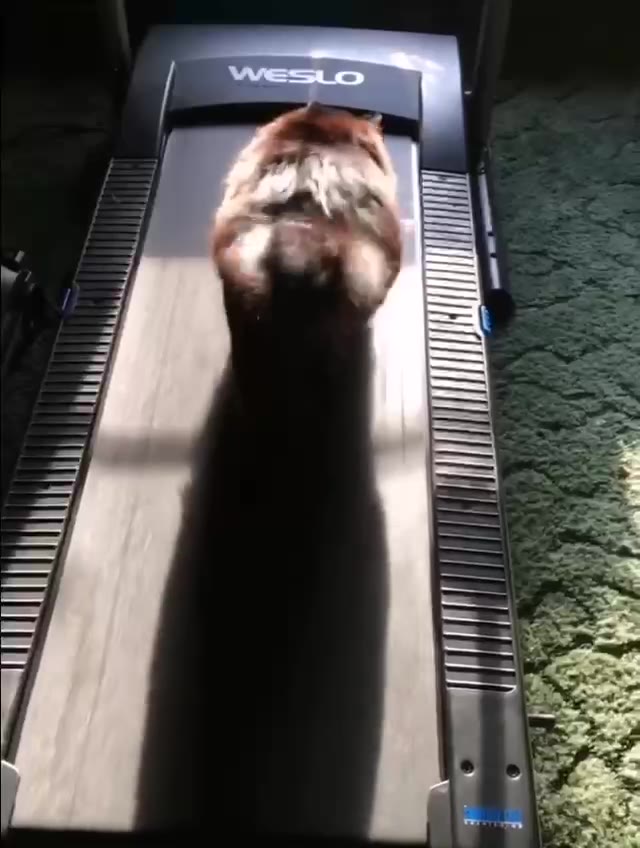 у