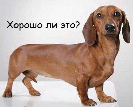 Хорошо ли это?