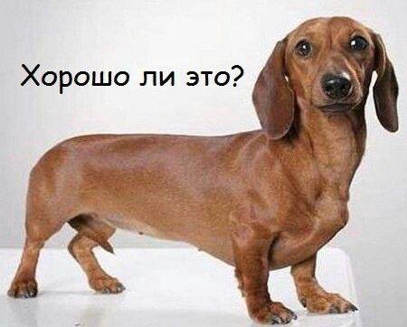 Хорошо ли это?
