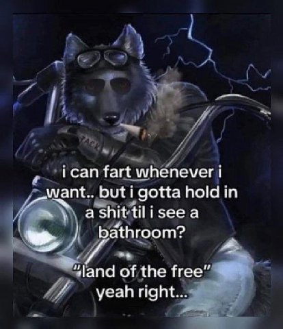 ican fart whenever i want.. but i gotta hold in и а shit зее а bathroom? of the free” yeah right...