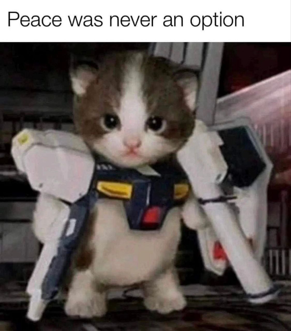 Peace was never an option