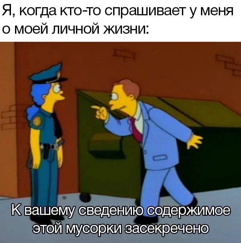 Я, когда кто-то спрашивает у меня о моей личной жизни: К вашему сведению содержимое этой мусорки засекречено