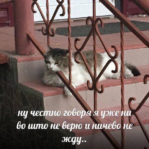 ну честно говоря`я уже ни што не верю и ничево не