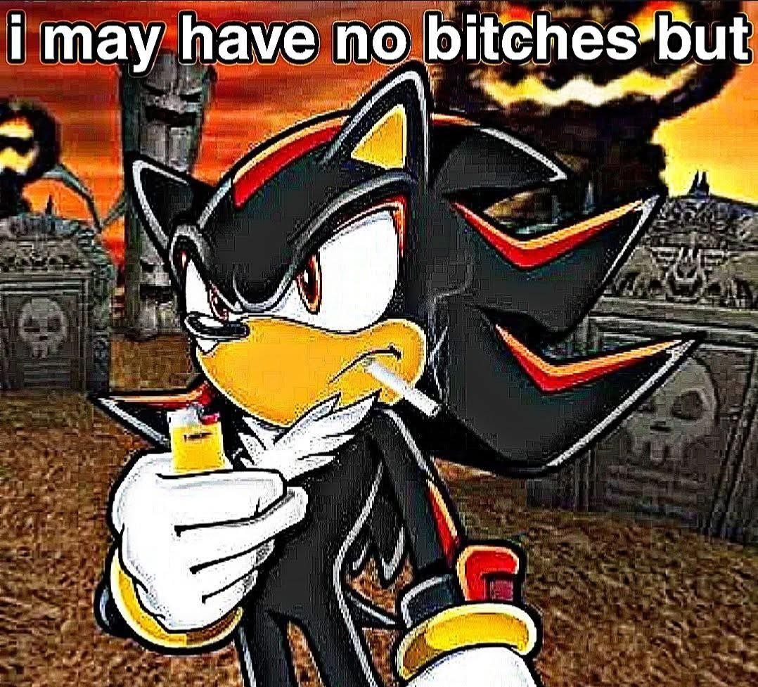 пау have по bitch