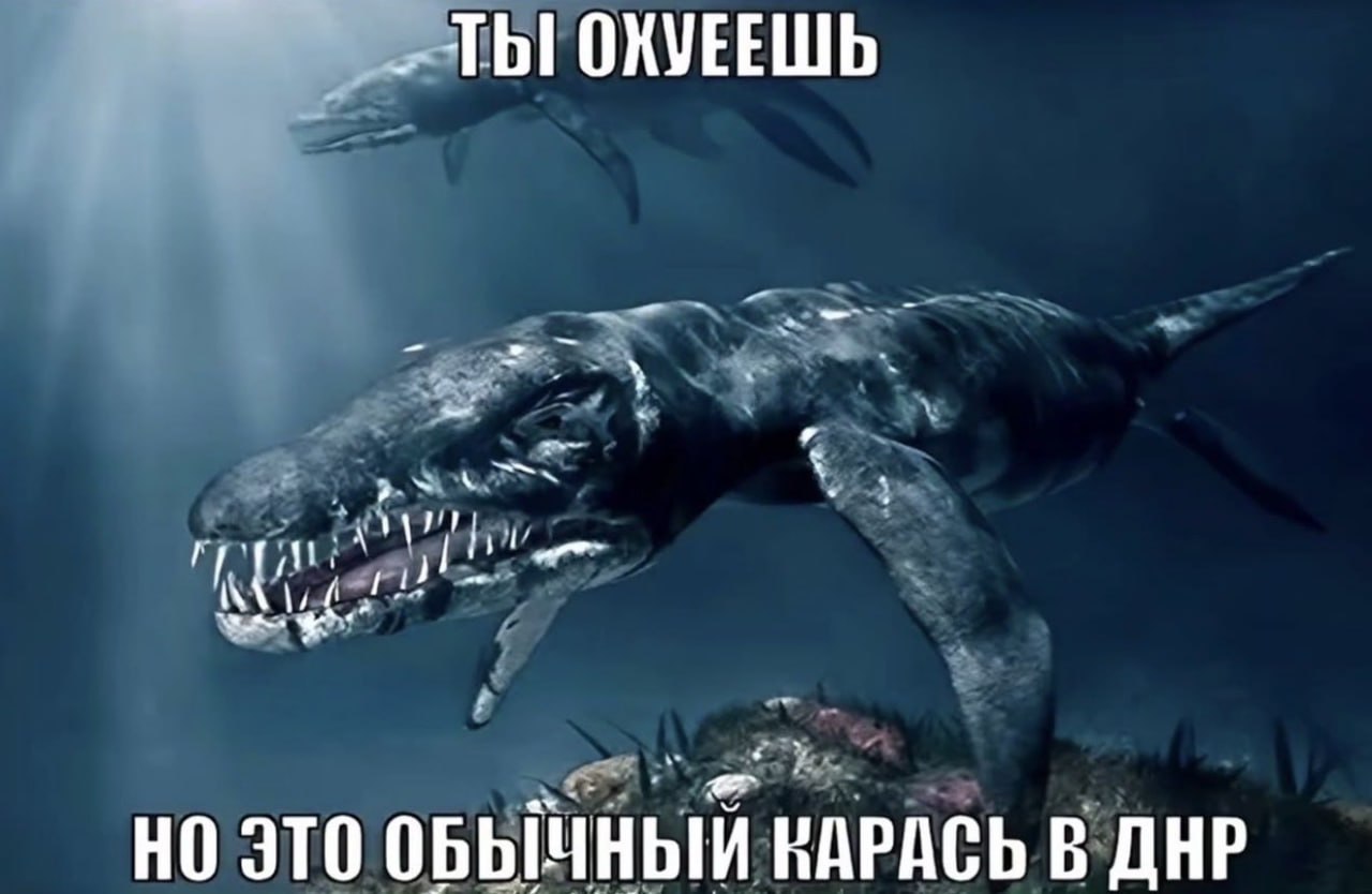 ТЫ ОКУЕЕШЬ НО ЭТО ОБЫЧНЫЙ КАРАСЬ В ДНР