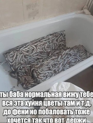 ты баба нормальная вижутебе вся эта хуйня цветы до фени но побаловать тоже- хочется так что вот