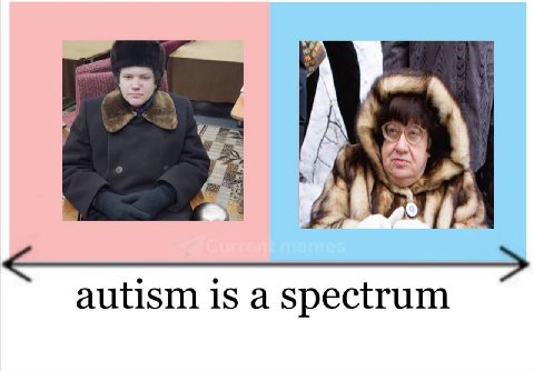 а) autism is а spectrum