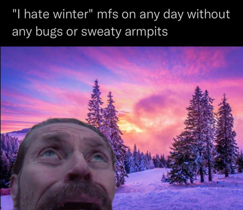 hate winter" mfs on any day without any bugs or sweaty armpits