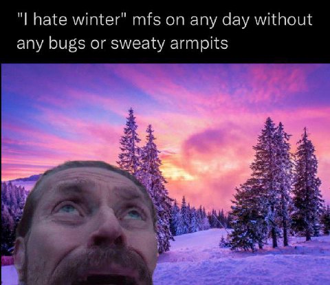 hate winter" mfs on any day without any bugs or sweaty armpits