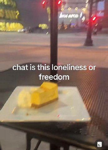 chat is this loneliness or freedom
