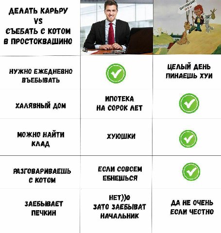 ДЕЛАТЬ КАРЬРУ СЪЕБАТЬ С КОТОМ В ПРОСТОКВАШИНО НУЖНО ЕЖЕДНЕВНО ЦЕЛЫЙ ДЕНЬ ВЪЕБЫВАТЬ ПИНАЕШЬ ХУИ ИПОТЕКА ХАЛЯВНЫЙ ДОМ НА СОРОК ЛЕТ МОЖНО НАЙТИ ХУЮШКИ КЛАД РАЗГОВАРИВАЕШЬ ЕСЛИ СОВСЕМ с котом ЕБНЕШЬСЯ НЕТ