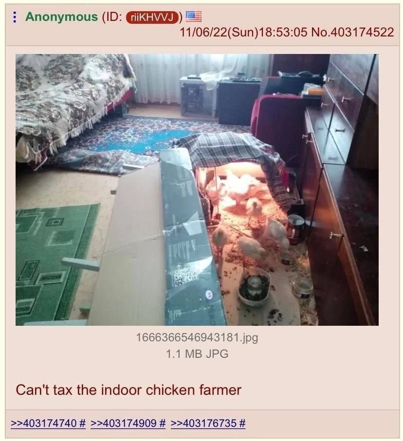 Anonymous 11/06/22(Sun)18:53:05 No.403174522 1 Nea 1666366546943181.jpg 1.1 JPG Can't tax the indoor chicken farmer >>403174740 >>403174909 >>403176735
