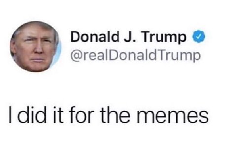 Donald Trump @realDonaldTrump did it for the memes