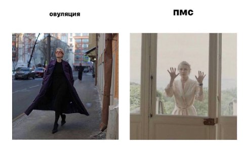 овуляция ПМС