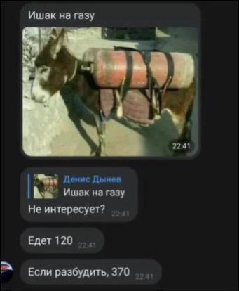 Ишак на газу 2241 Денис Дынев Ишак на газу Не интересует? Едет 120 Если разбудить, 370