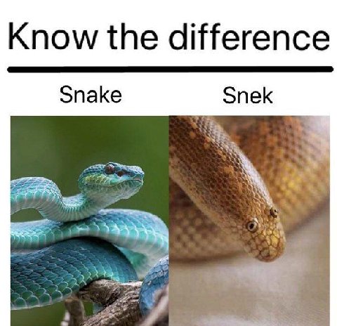 Know the difference Snake Snek