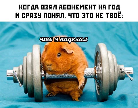КОГДА ВЗЯЛ АБОНЕМЕНТ НА ГОД И СРАЗУ ПОНЯЛ, ЧТО ЭТО НЕ ТВОЕ: что я наделал
