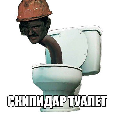 С RANK ТУАЛЕТ ДАР