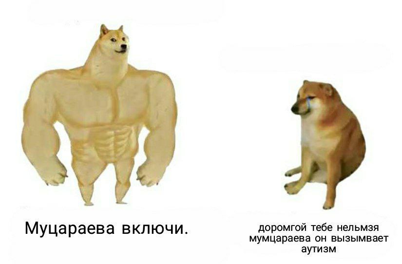 Муцараева включи. доромгой тебе нельмзя мумцараева он вызымвает аутизм