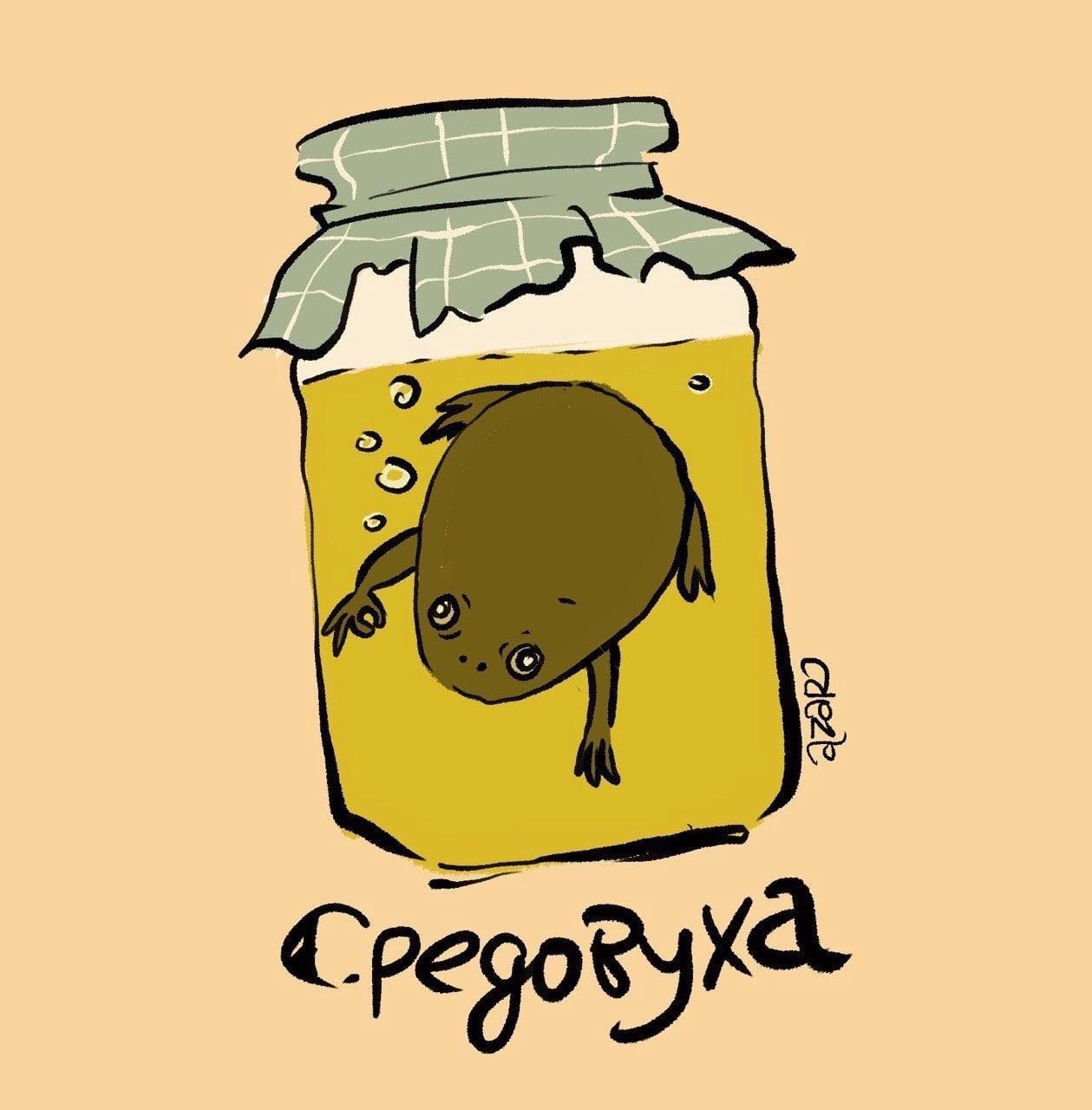 Cpegory