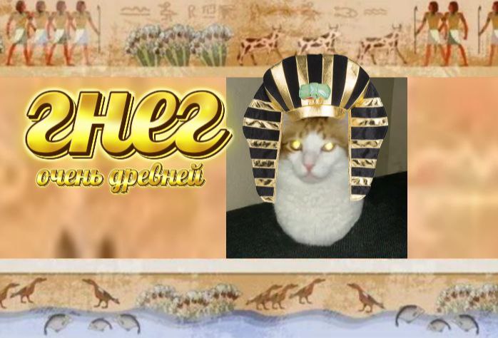 we wuz kangz n shiet