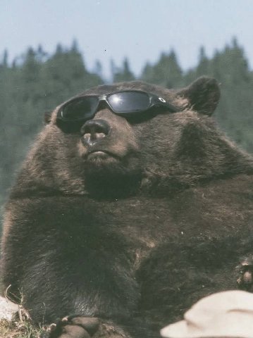 Вот и лето прошло