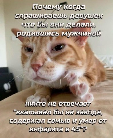 Почему когда спрашиваешь девушек что бы они делали. 1 родившись мужчиной 5 никто не отвечает “вкалывал бы на заводе. семью и умер от инфаркта в 45"?