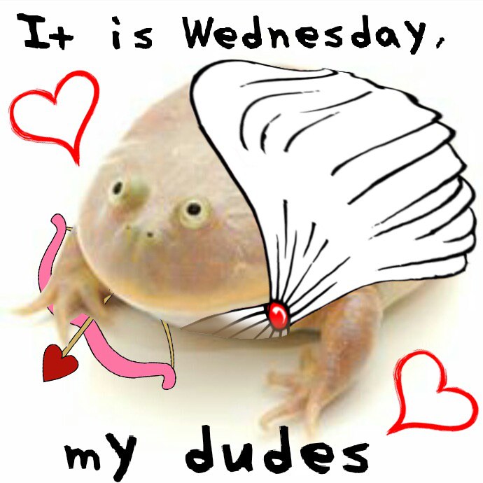 I+ is Wednesday, my dudes