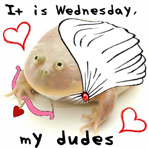 I+ is Wednesday, my dudes