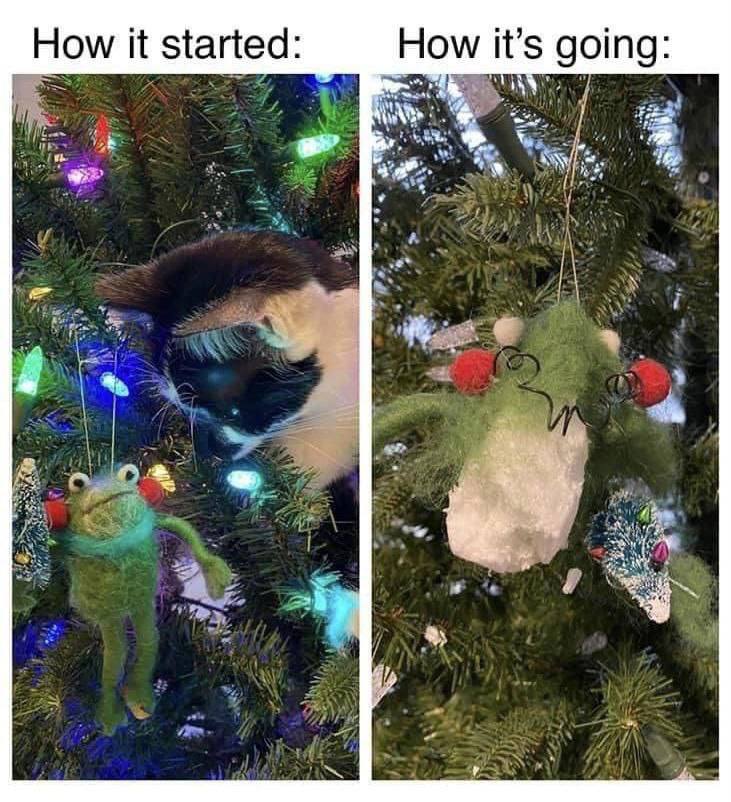 How it started: going: How