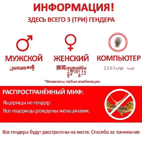 ИНФОРМАЦИЯ! ЗДЕСЬ ВСЕГО 3 (ТРИ) ГЕНДЕРА ЖЕНСКИИ КОМПЬЮТЕР *Возможны любые комбинации РАСПРОСТРАНЕННЫЙ МИФ Ящерицы не гендер Все ящерицы рождены женщинами Все гендеры будут расстреляны на месте. Спасиб
