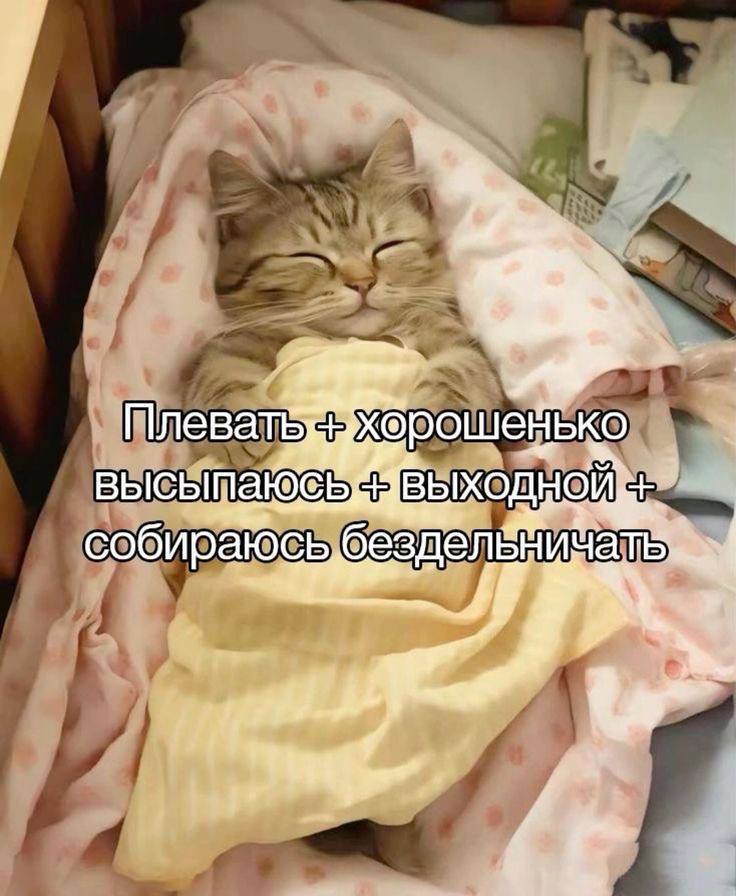 Плеватё хброшейько ВЫХОДНОЙ собираюсь безделёнича