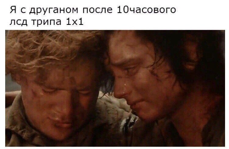 Я с друганом после 10часового лсд трипа