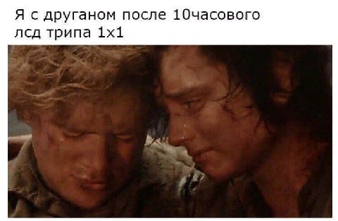 Я с друганом после 10часового лсд трипа