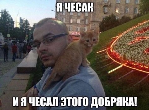 Я ЧЕСАК 4 ЧЕСАЛ ЭТОГО ДОБРЯКА!