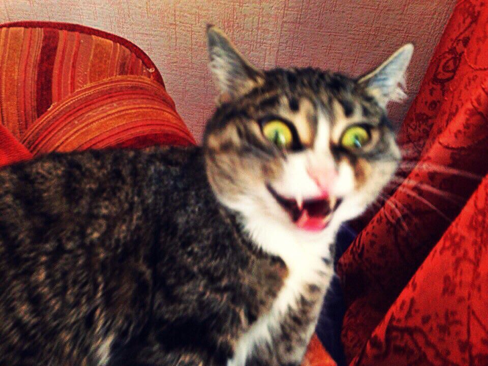 и