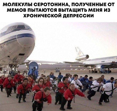 МОЛЕКУЛЫ СЕРОТОНИНА, ПОЛУЧЕННЫЕ ОТ МЕМОВ ПЫТАЮТСЯ ВЫТАЩИТЬ МЕНЯ ХРОНИЧЕСКОЙ ДЕПРЕССИИ wie В