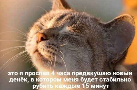 это я просй часа предвкушаю новыи денек, В меня будет стабильно дые 15 минут