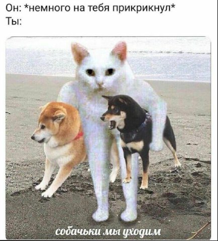 Он: *немного на тебя прикрикнул* Ты: А содачьки мы уходим