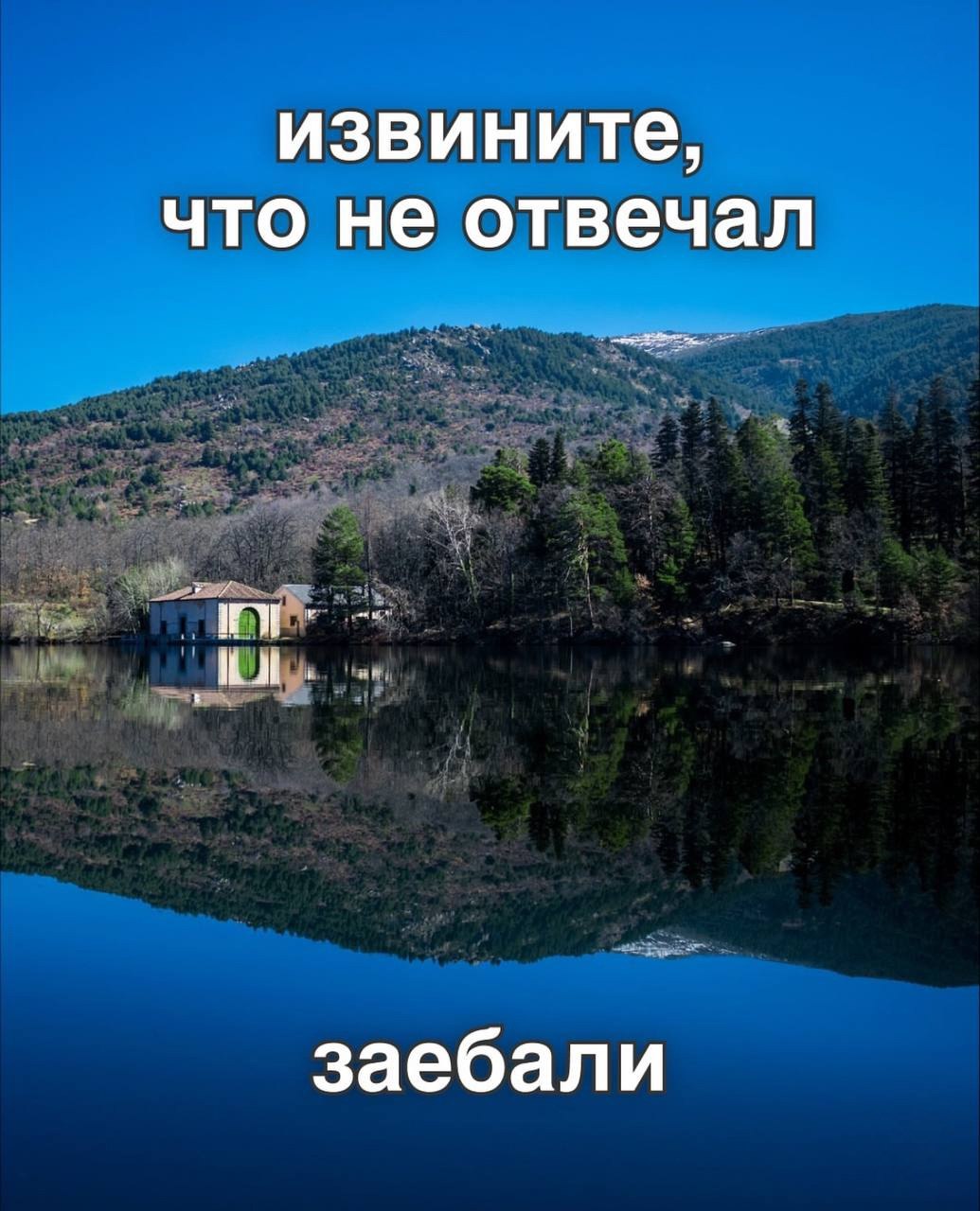 извините, что не отвечал заебали