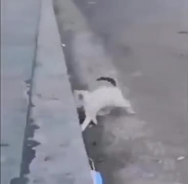 мем