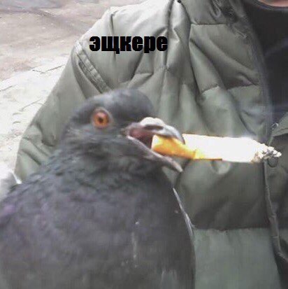 4 we