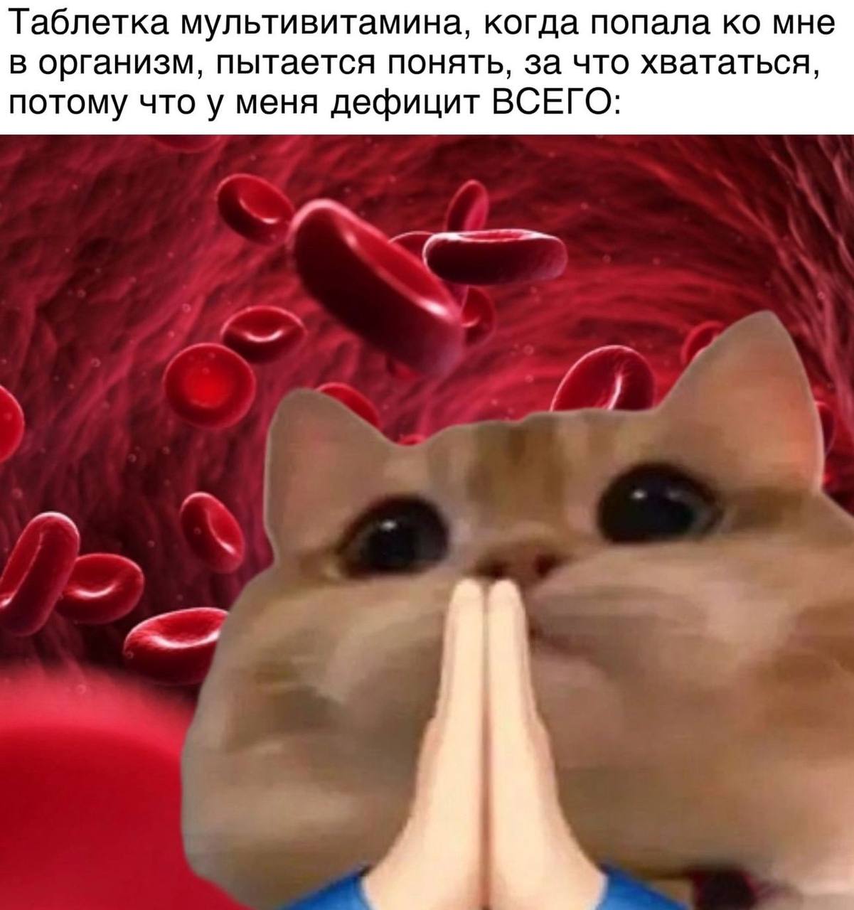Таблетка мультивитамина, когда попала мне в организм, пытается понять, за что хвататься, потому что у меня дефицит ВСЕГО: