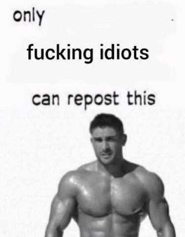 only fucking idiots can repost this