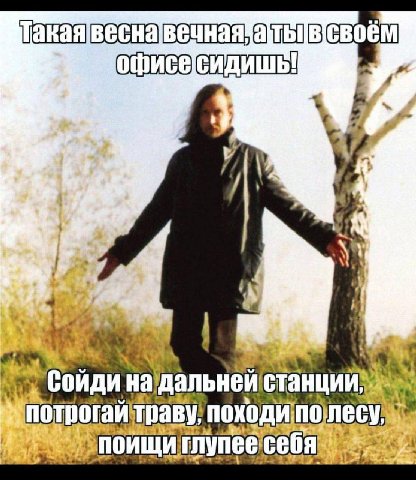 #вашинологи