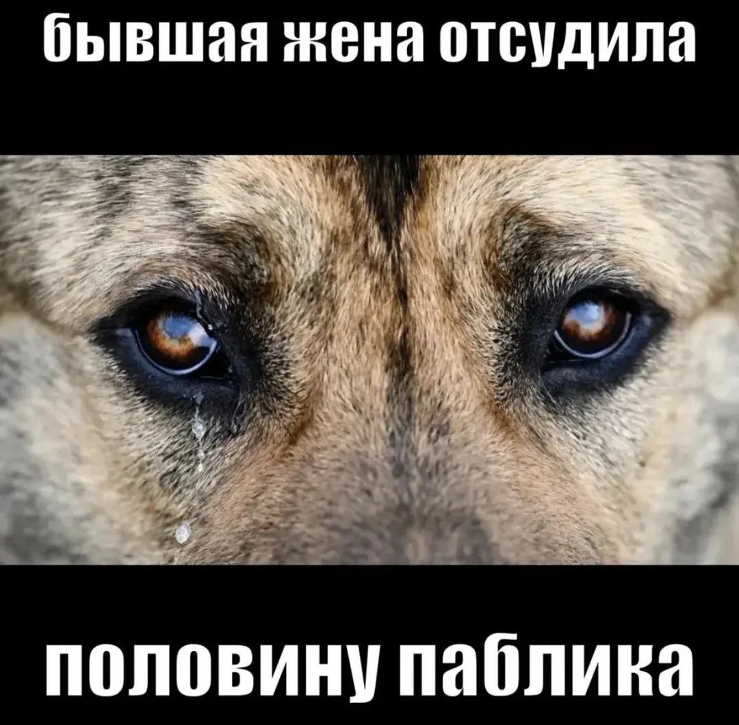 бывшая жена отсудила половину паблика