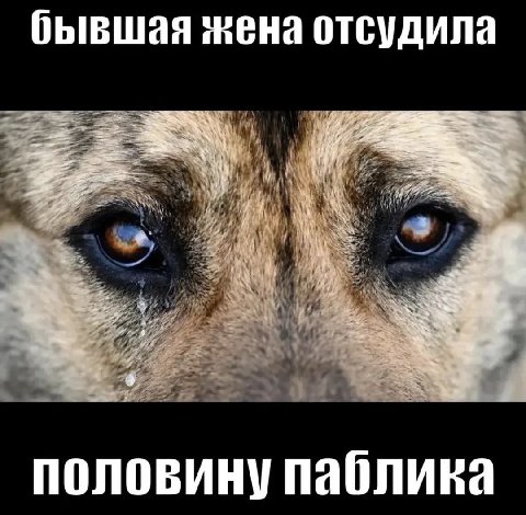 бывшая жена отсудила половину паблика