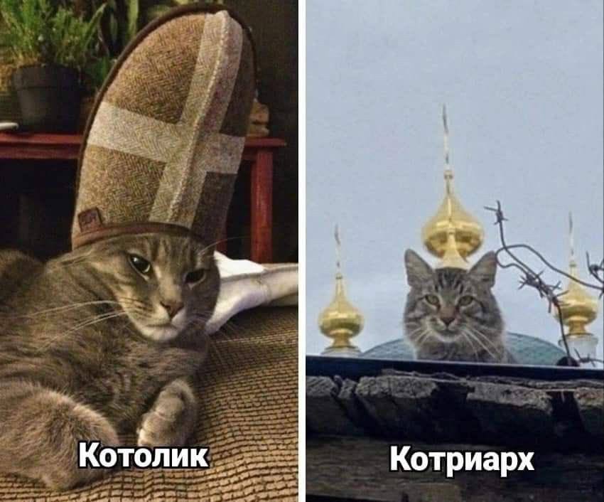 Котолик Котриарх